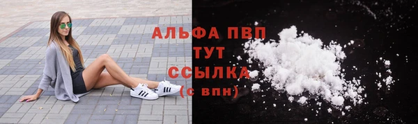 индика Каменногорск