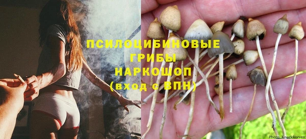 соль ск Белоозёрский