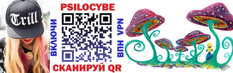 что такое Сланцы Галлюциногенные грибы Magic Shrooms
