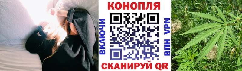 Бошки Шишки марихуана купить наркотики сайты Сланцы